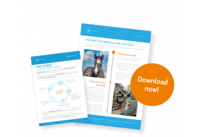 Download our leaflets for end users here 
