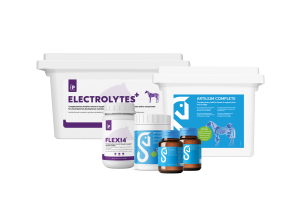 Supplements to support (sport)horses