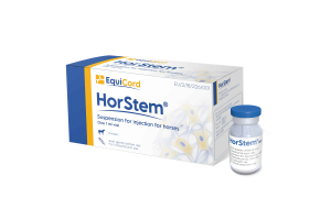 HorStem image with horse