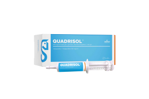 Quadrisol Image with horse