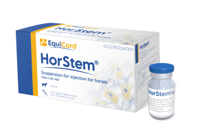 HorStem image with horse