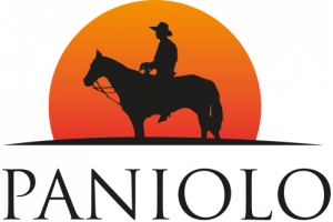 Paniolo - orthopedic support for horses 