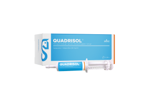 Quadrisol Image with horse