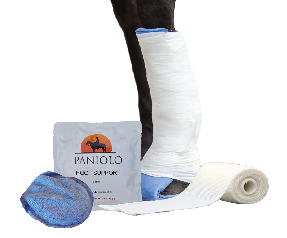 Paniolo – orthopedische ondersteuning voor paarden 