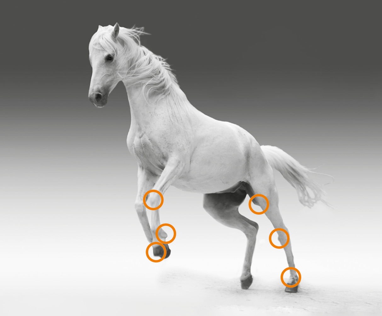 De verschillen tussen Pro-Stride APS, Restigen PRP en CenTrate 