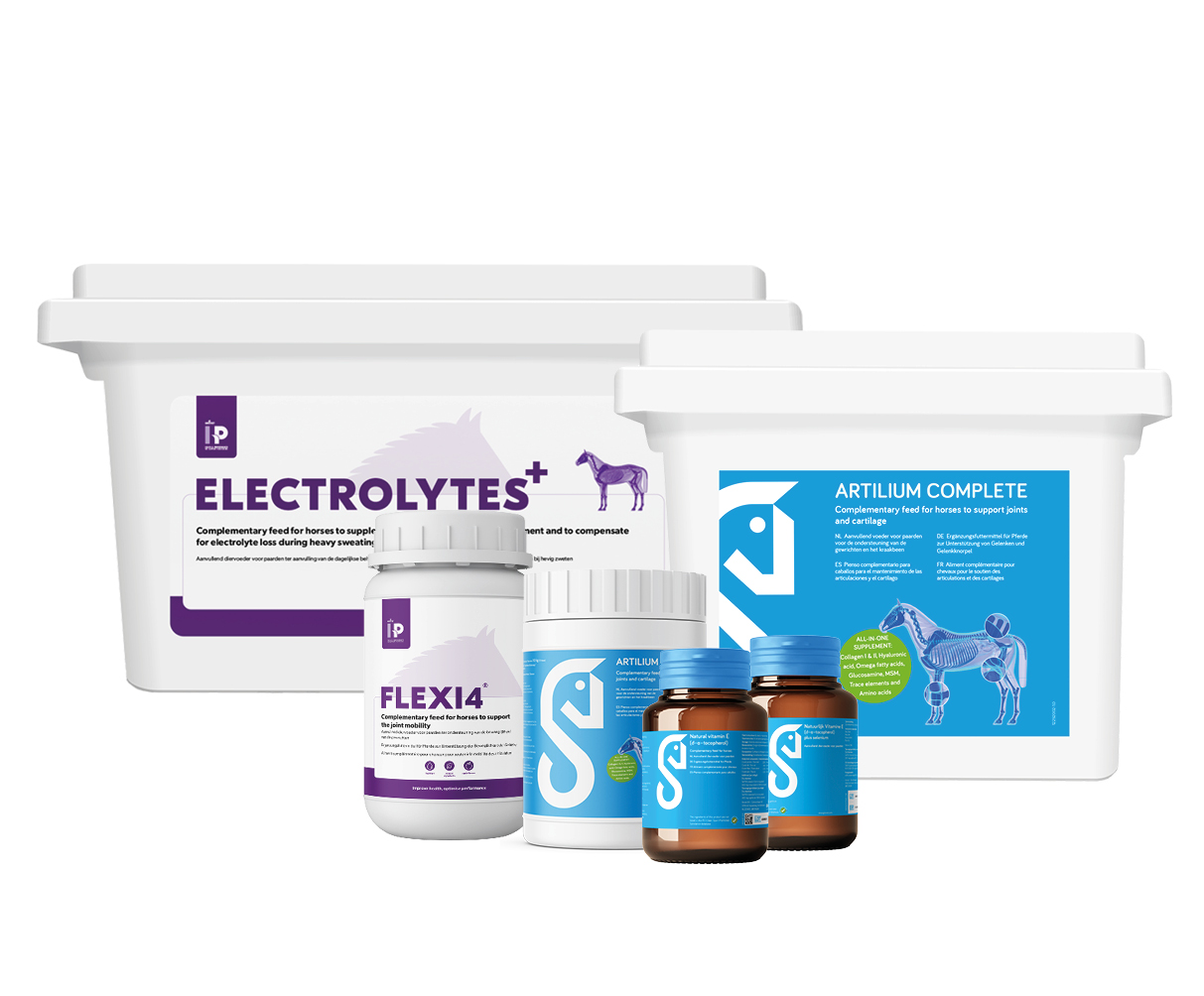 Supplements to support (sport)horses