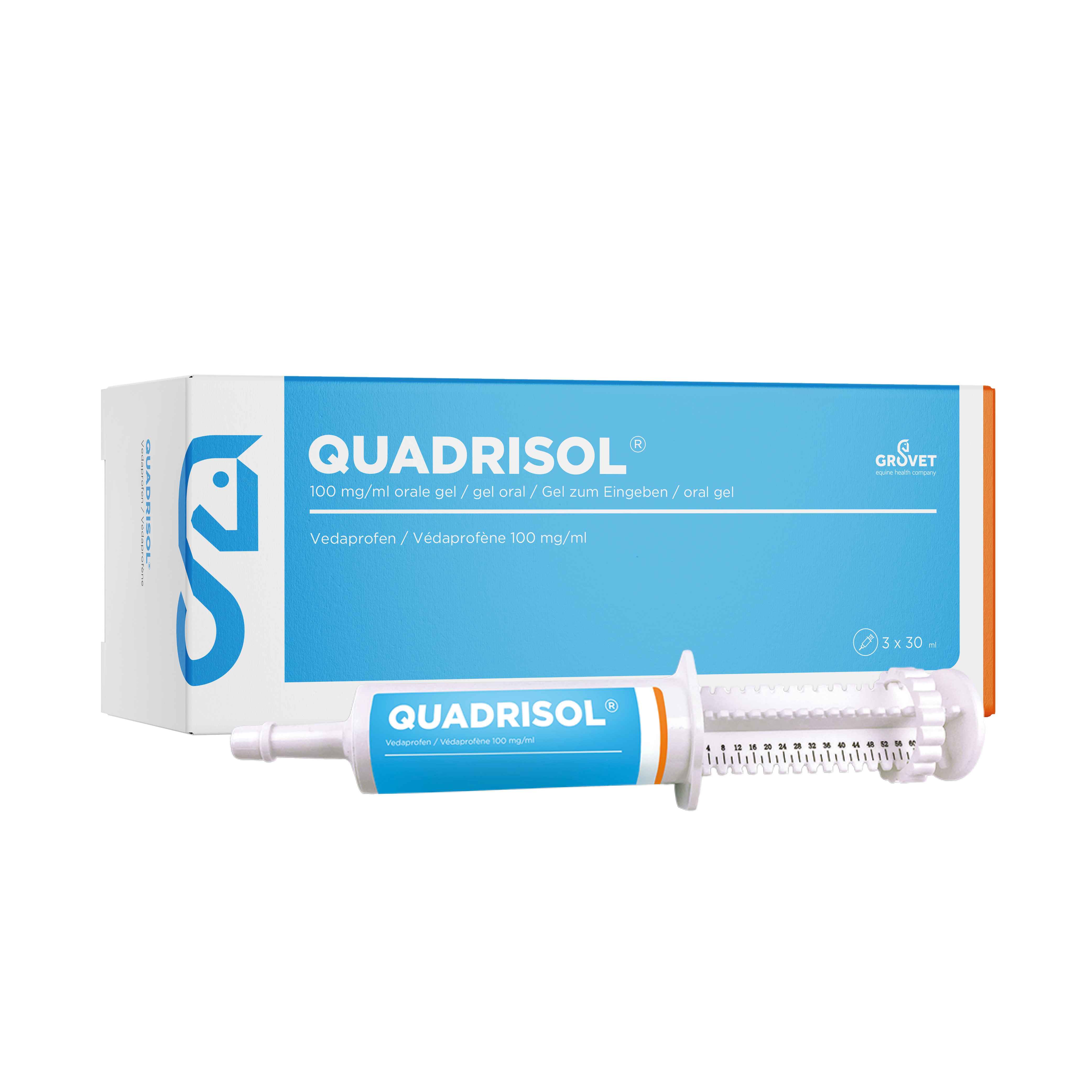 Quadrisol Image with horse