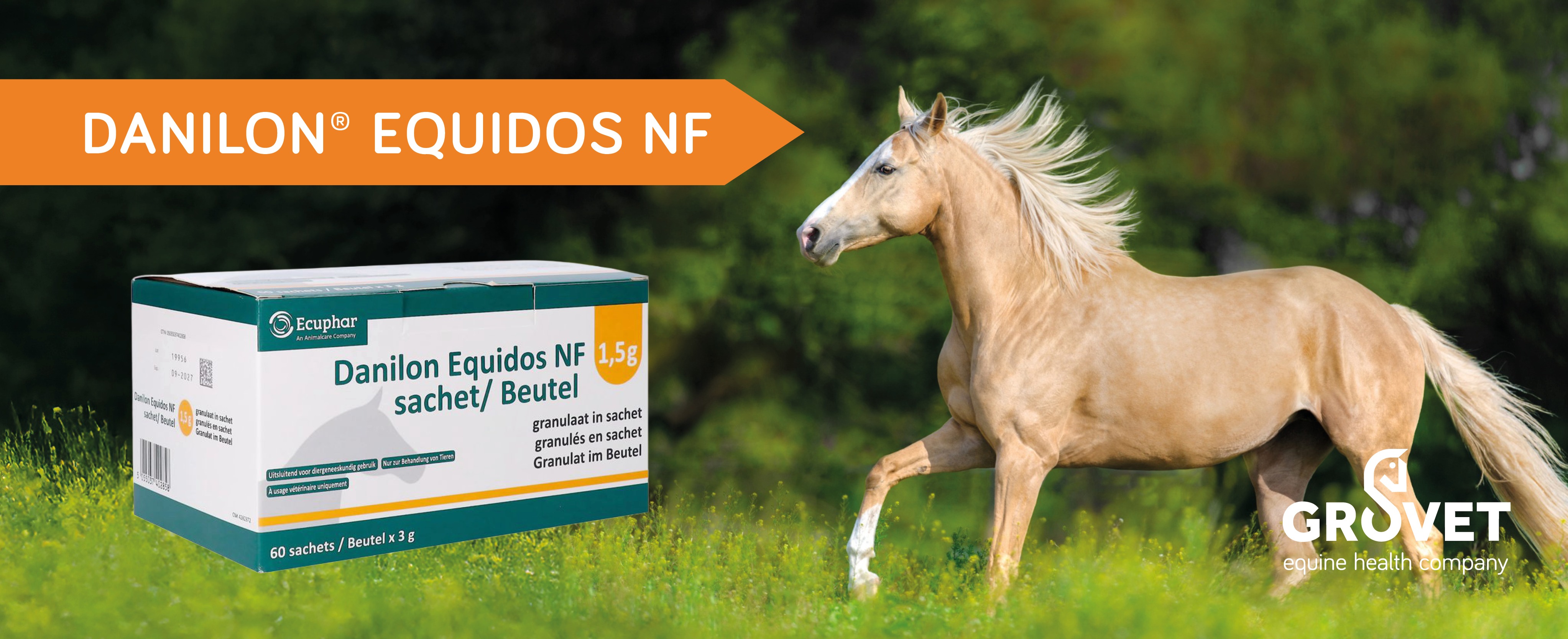 Danilon Image with horse