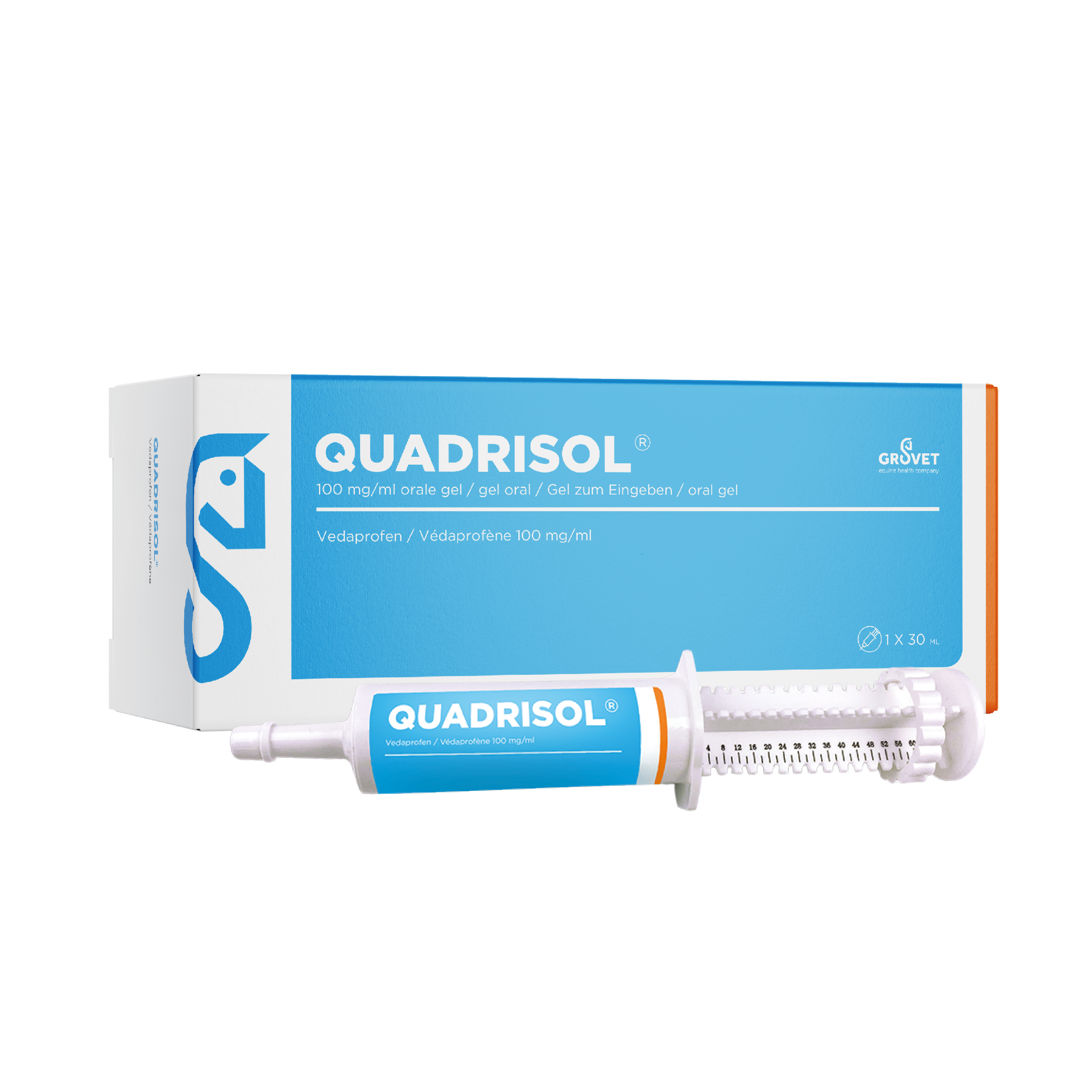 Quadrisol Image with horse